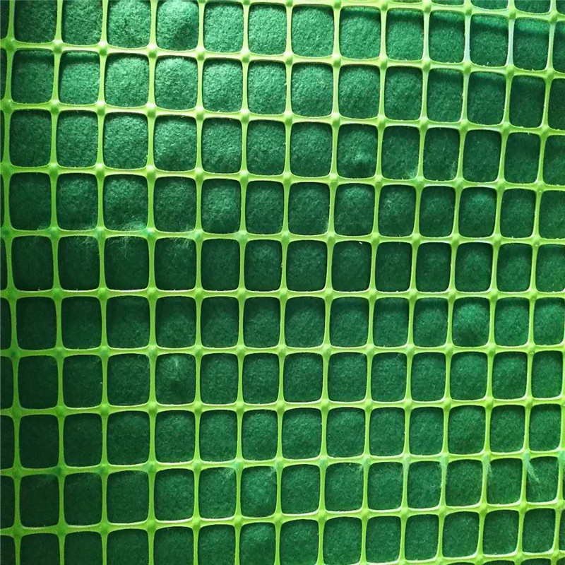 1636033733164654.jpg