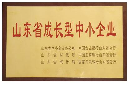 山東省成長(cháng)型中小企業(yè)